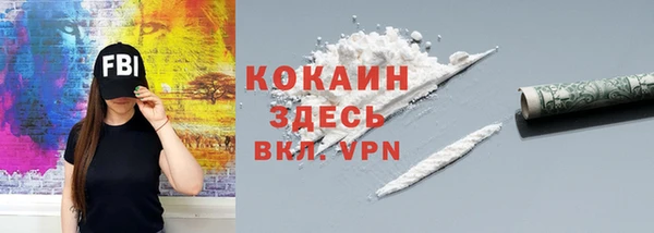 mdpv Бородино