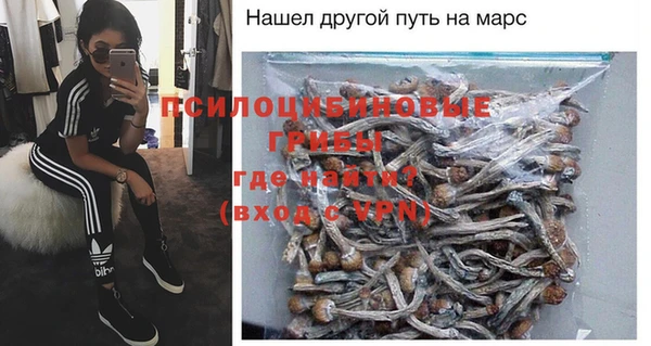 mdpv Бородино