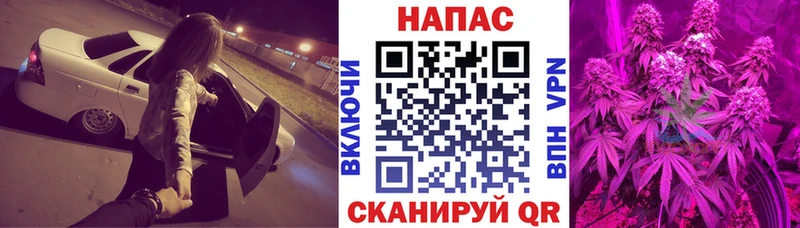 Канабис сатива Красково